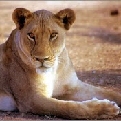 Profile Picture of Ethan Christopher (@ethanchristopher3521) on Youtube