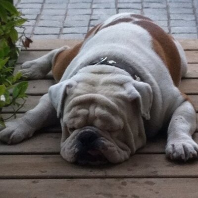 Profile Picture of Michael Grasty B. (@GrastyB) on Twitter