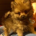 Profile Picture of Todd Winston Duncan-Slaton (@hott_toddy) on Instagram