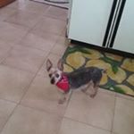 Profile Picture of berta betancourt (@lila41___) on Instagram