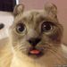 Profile Picture of Emma Adrian (@pankovdnl) on Pinterest