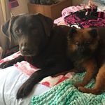 Profile Picture of Dixie & Haley Kennedy (@dixieandhaley) on Instagram