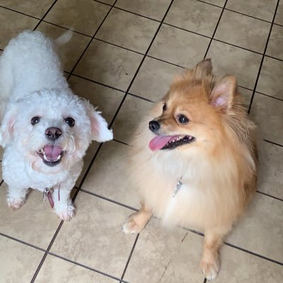 Profile Picture of Nina_Max (@Sam32364926) on Twitter