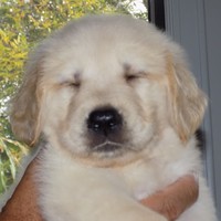 Profile Picture of Juliet Dowling-coll (@juliet-dowling-coll) on Quora