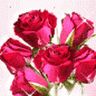 Profile Picture of AKM Kamar Uddin (@akmkamar) on Pinterest