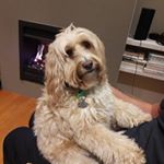 Profile Picture of Jo Chadwick (@jo.chad) on Instagram
