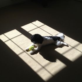 Profile Picture of Christine Hilliard (@auntiehill) on Pinterest