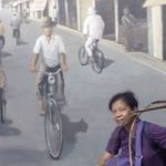 Profile Picture of Martina Dolfina (@martinadolfina) on Instagram