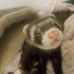 Profile Picture of Billie Manning (@billie.manning.1884) on Facebook