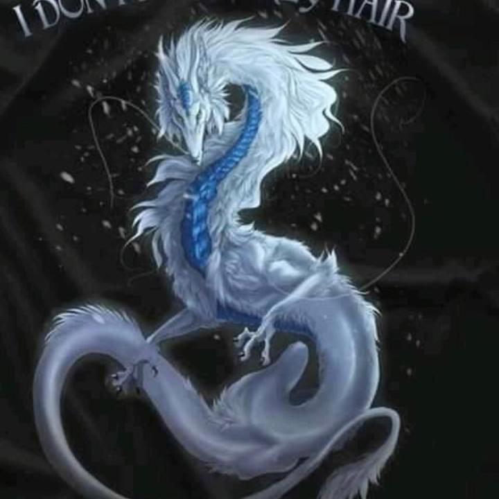 Profile Picture of Kevin wood (@budha1977) on Tiktok