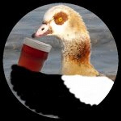 Profile Picture of James Emerson (@Norwichbirder) on Twitter