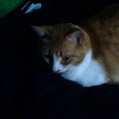 Profile Picture of Priscilla Wilkinson (@friend08) on Twitter