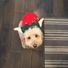 Profile Picture of user3748503558835 (@emma.stocker123) on Tiktok
