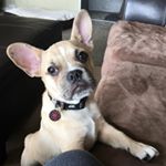 Profile Picture of Lori Guzman (@lguzman248) on Instagram