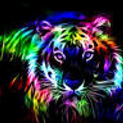 Profile Picture of Vanessa D Swart (@22swart) on Twitter