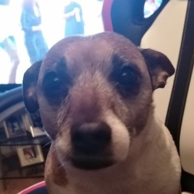 Profile Picture of Keith Chalmers (@KeithChalmers14) on Twitter