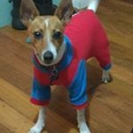 Profile Picture of Clyde Maz West (@clyde.west.56) on Instagram