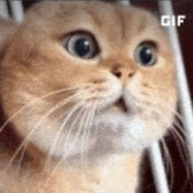 Profile Picture of ALPER BURAK ROBLOX 2 (@AlperburakRoblox2) on Youtube