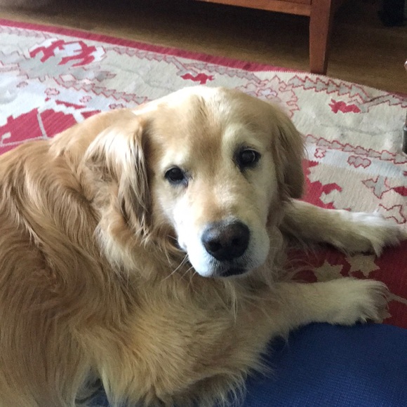 Profile Picture of Michael Palmgren (@gpalmgren) on Poshmark