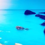 Profile Picture of Robert Devine (@robert.devine.127) on Instagram