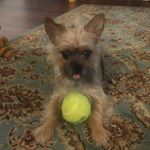 Profile Picture of 신이삭 (@isaac_shin) on Instagram