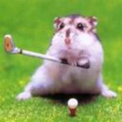 Profile Picture of Marcus Welch (@cacennoafreeh11) on Twitter