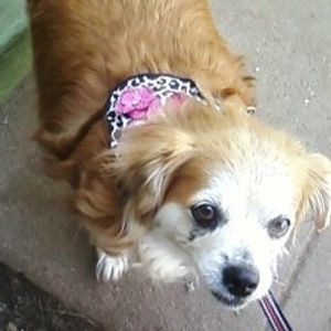 Profile Picture of Tanya Negrete (@sodacola) on Myspace