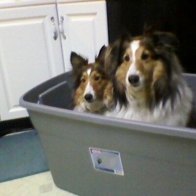 JEANNE NELSON - Twitter Profile Picture of JEANNE NELSON (@JEANNENELSON5) on Twitter