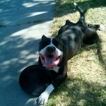 Profile Picture of Joe Meyer (@meyer209joe) on Instagram