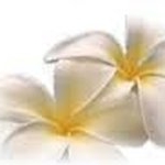 Profile Picture of Robin Agnew (@ponoau) on Instagram