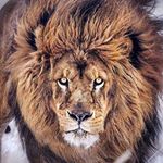 Profile Picture of David Arevalo (@davidarevalo99) on Instagram