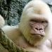 Profile Picture of Edward Wenger (@edward.wenger.104) on Facebook