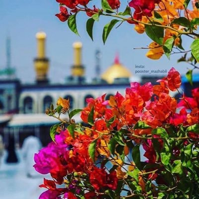 Profile Picture of  ✨BaToOL ✨ (@emaan_ali313) on Twitter