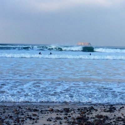 Profile Picture of Bernard Harkin (@harkinbenard) on Twitter