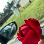 💛〽️LiL rIssA🖤🔅 - Instagram Profile Picture of 💛〽️LiL rIssA🖤🔅 (@l.ittle_riss.a) on Instagram