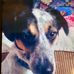 Profile Picture of Kim Guy (@kim.guy.9256) on Facebook