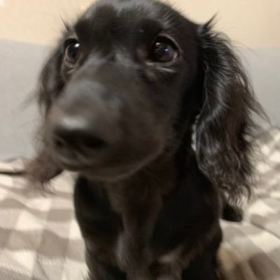 Profile Picture of マナミ (@fZvpbsHlisc77yH) on Twitter