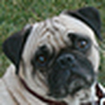 Profile Picture of Ryan & Shelly's Clan (@ryan & shelly's clan) on Flickr