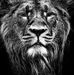Profile Picture of Daniel Nowicki (@daniel.nowicki.505960) on Facebook