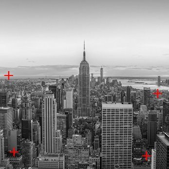 Profile Picture of Eric Thorell (@EricThorells) on Twitter