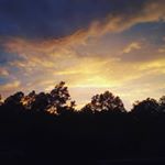 Profile Picture of kylee johnson (@kyleejohnson79) on Instagram
