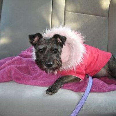 Cass Miranda - Twitter Profile Picture of Cass Miranda (@flutilicious) on Twitter