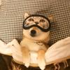 Profile Picture of darcy30barry (@@darcy30barry) on Tiktok