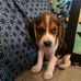 Profile Picture of Cooper Guy (@cooper.guy.712) on Facebook