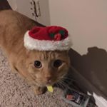 Profile Picture of Paul Leroux (@paul.leroux.334) on Instagram