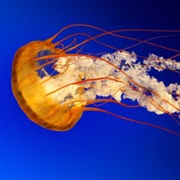 Profile Picture of Paul Boghosian Jr. (@paul-boghosian-jr) on Quora