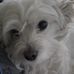 Profile Picture of Crystal Klink (@crystal.klink.75) on Facebook