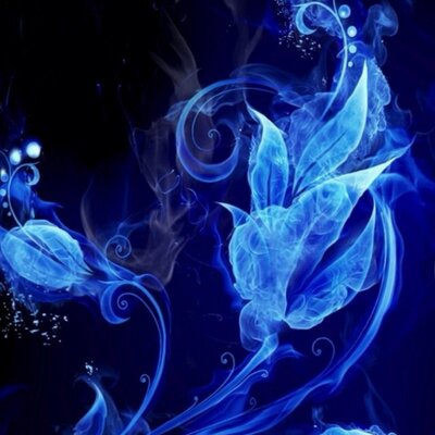 Profile Picture of Tian Lai (@SchirmTian) on Twitter