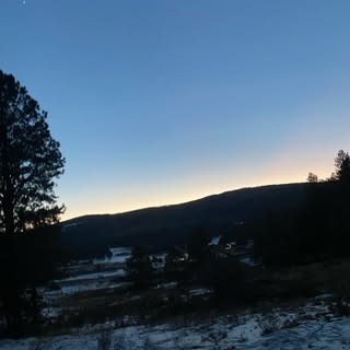 Profile Picture of Michael Licavoli (@michael.licavoli) on Instagram