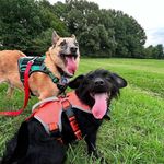 Profile Picture of Deb DeFabbo Shaw (@deb_the_hermit) on Instagram